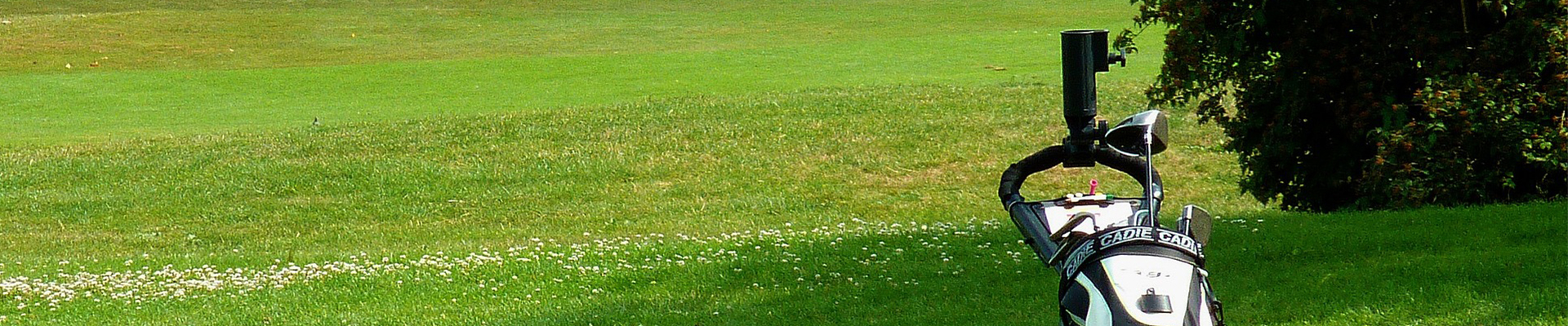 샤크존 골프클럽 강사소개