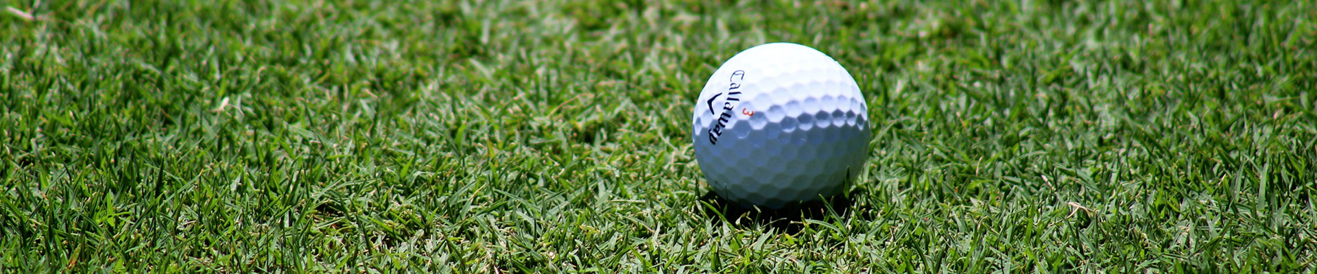 샤크존 골프클럽 오시는길